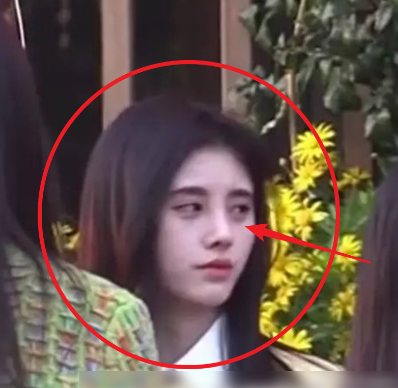 鞠婧祎久违去云南旅游-第10张图片-大千世界