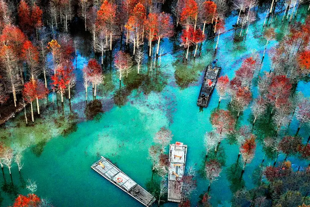 金秋皖南摄影线处处是美景,看那绝美红杉林,色彩斑斓美如油画