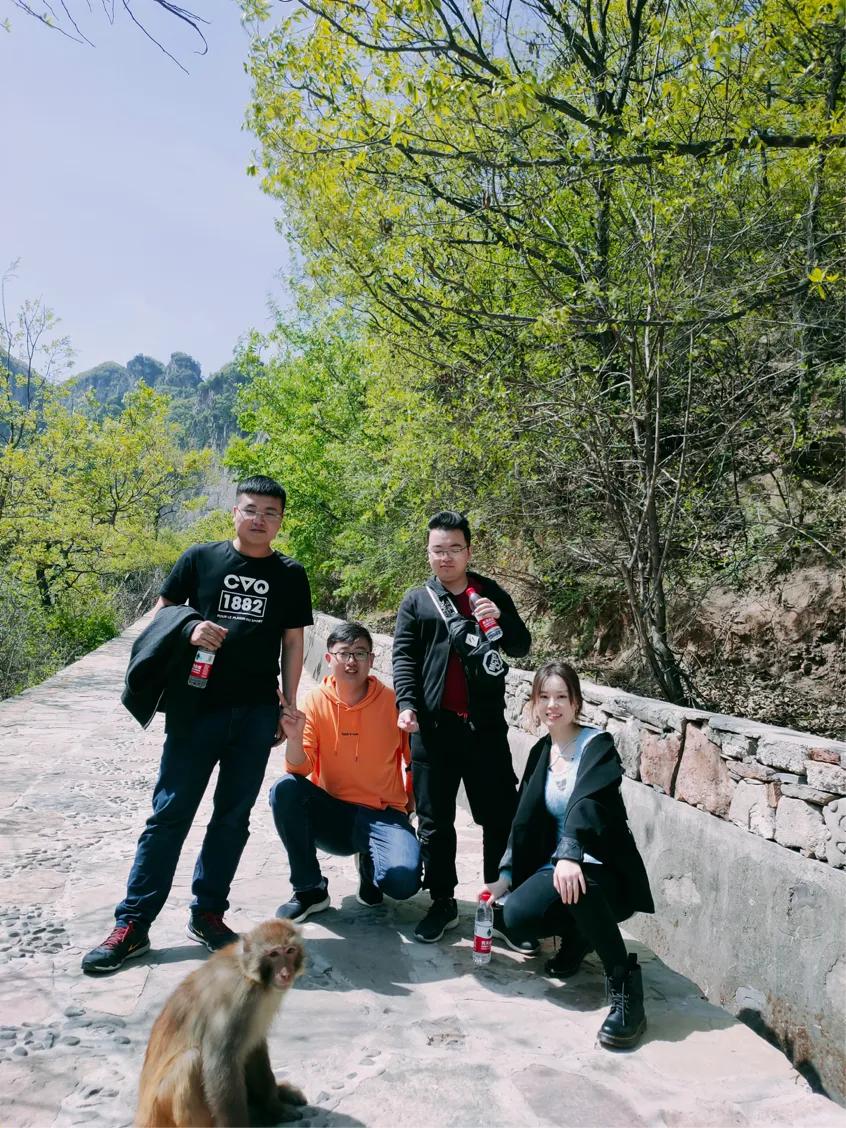 太原金紅花丨相約蟒河 感恩之旅