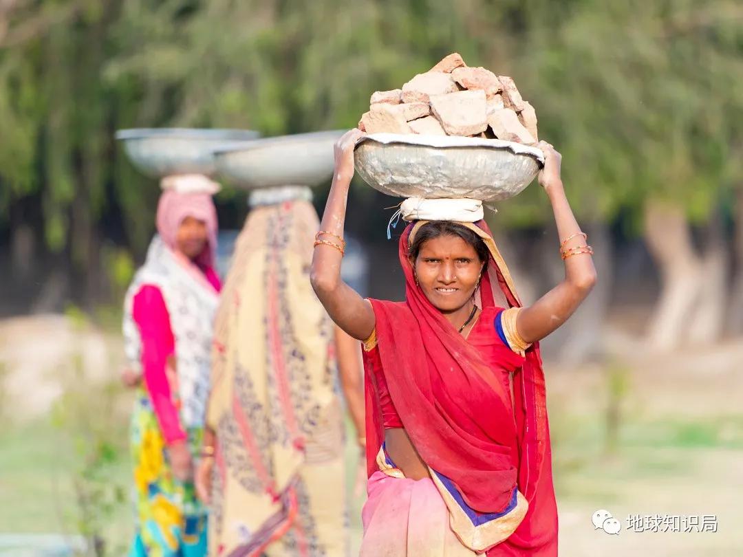 代孕工廠，在這裏 | 地球星空体育官网入口网站局