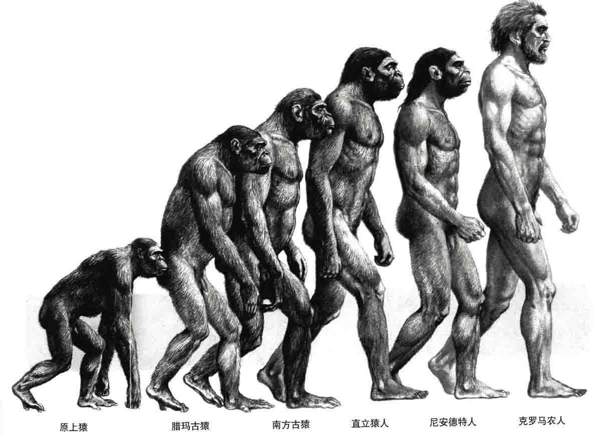 How was the first human being born? - iNEWS