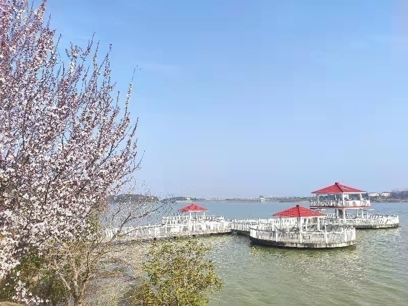 �׽����������Ļ����ν����湥�ԡ��������羰��