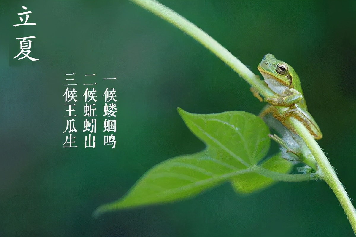 立夏｜夏日初成，萬(wàn)物并秀