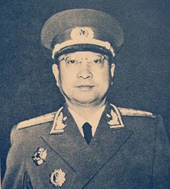 林彪与陈赓激烈相争，中央一封电报下决断，支