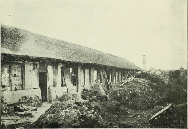 百年前中国的一次重大疫情