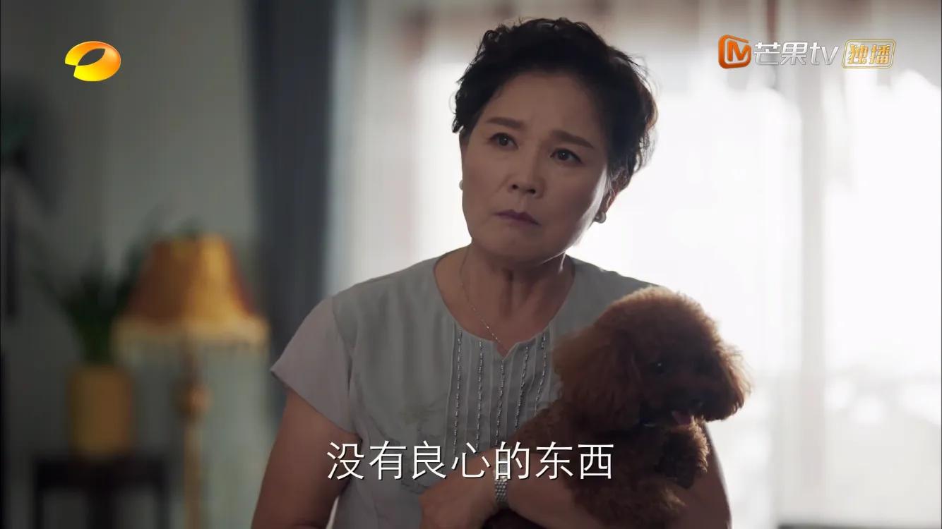 八零九零 桂婆婆兒子請律師 胡夢兒子來鬧事 養老院攤上大麻煩 小悝説電影 Mdeditor