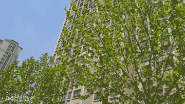 当完全不会拍照的媳妇儿上手测试荣耀30 Pro，你