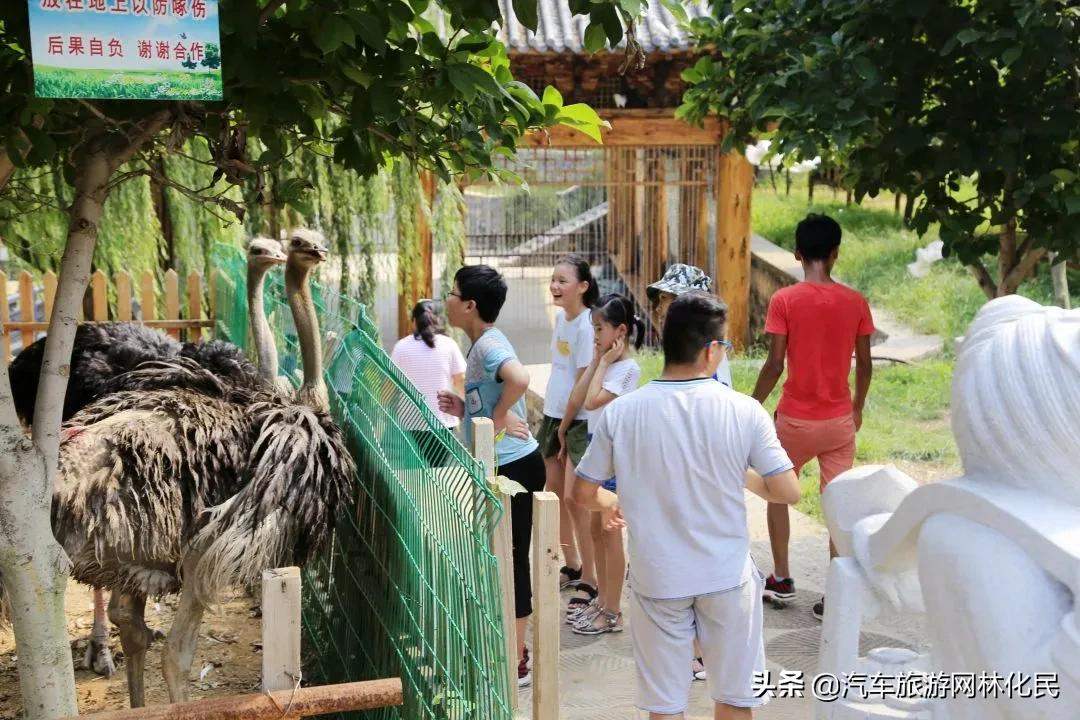 沂蒙马泉休闲园万亩樱桃花开,门票免费送啦