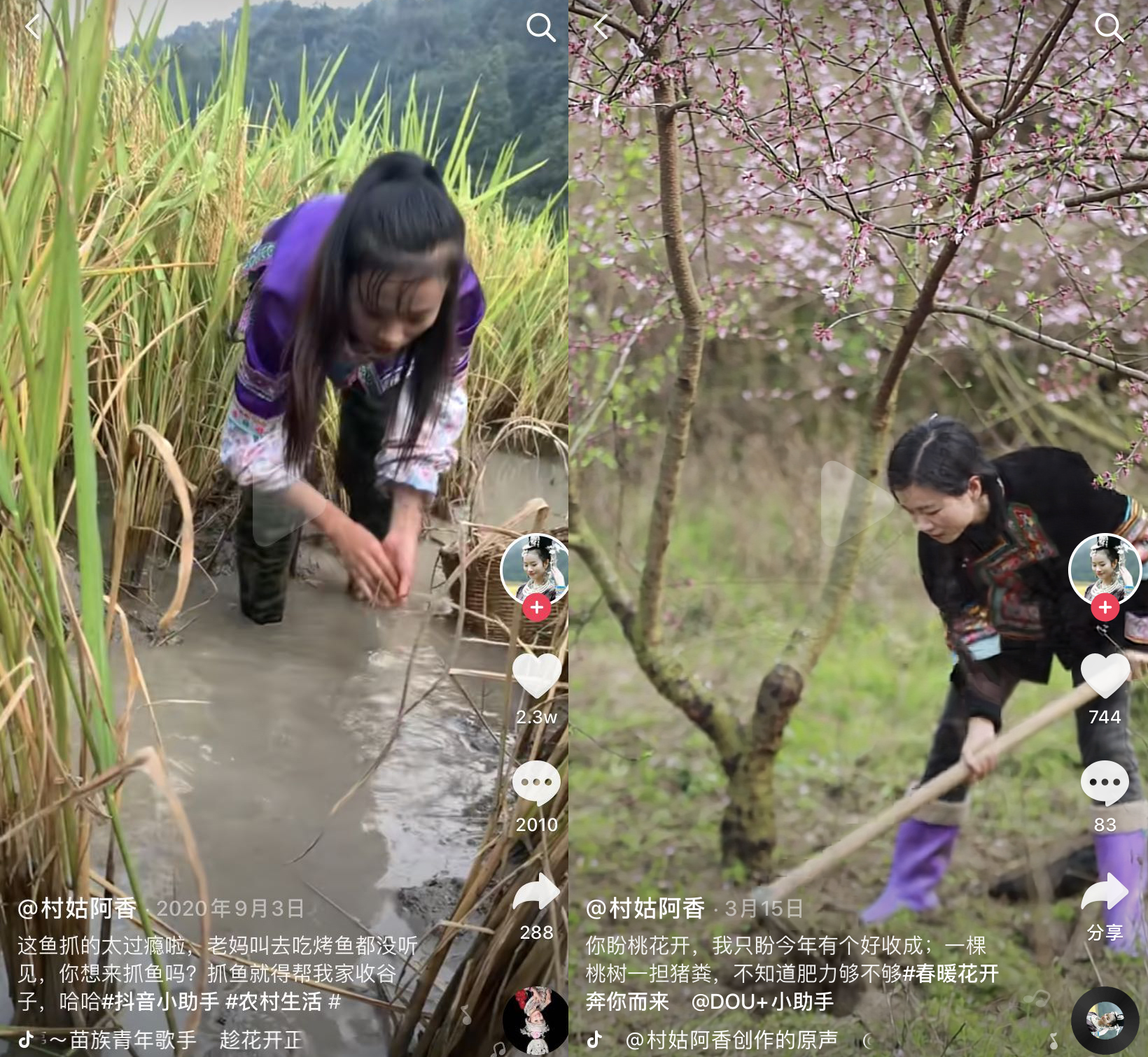 侗族姑娘（阿香本名张国丹）回到大山抢救侗歌文化