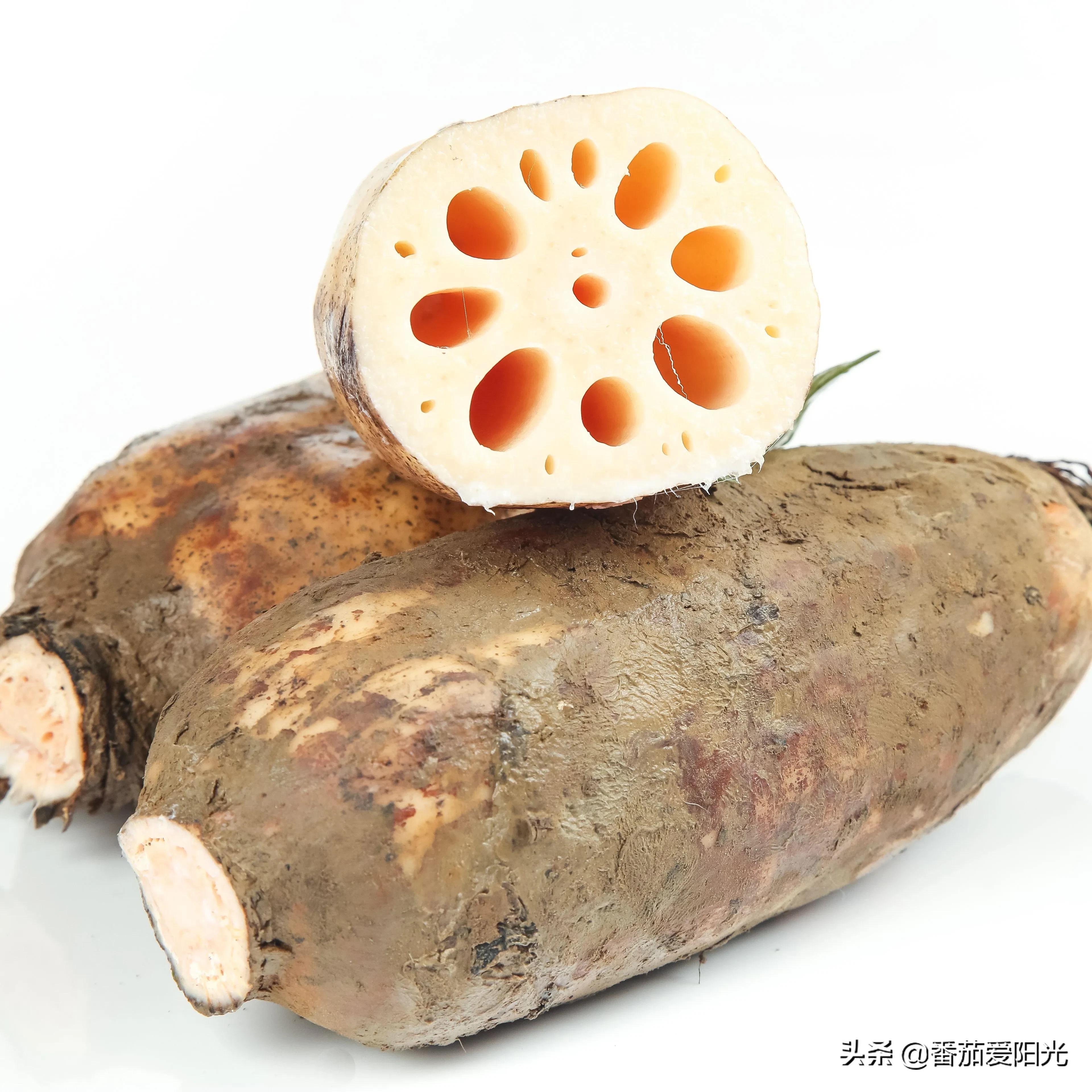 The distinction between lotus root noodles and crispness has little to ...