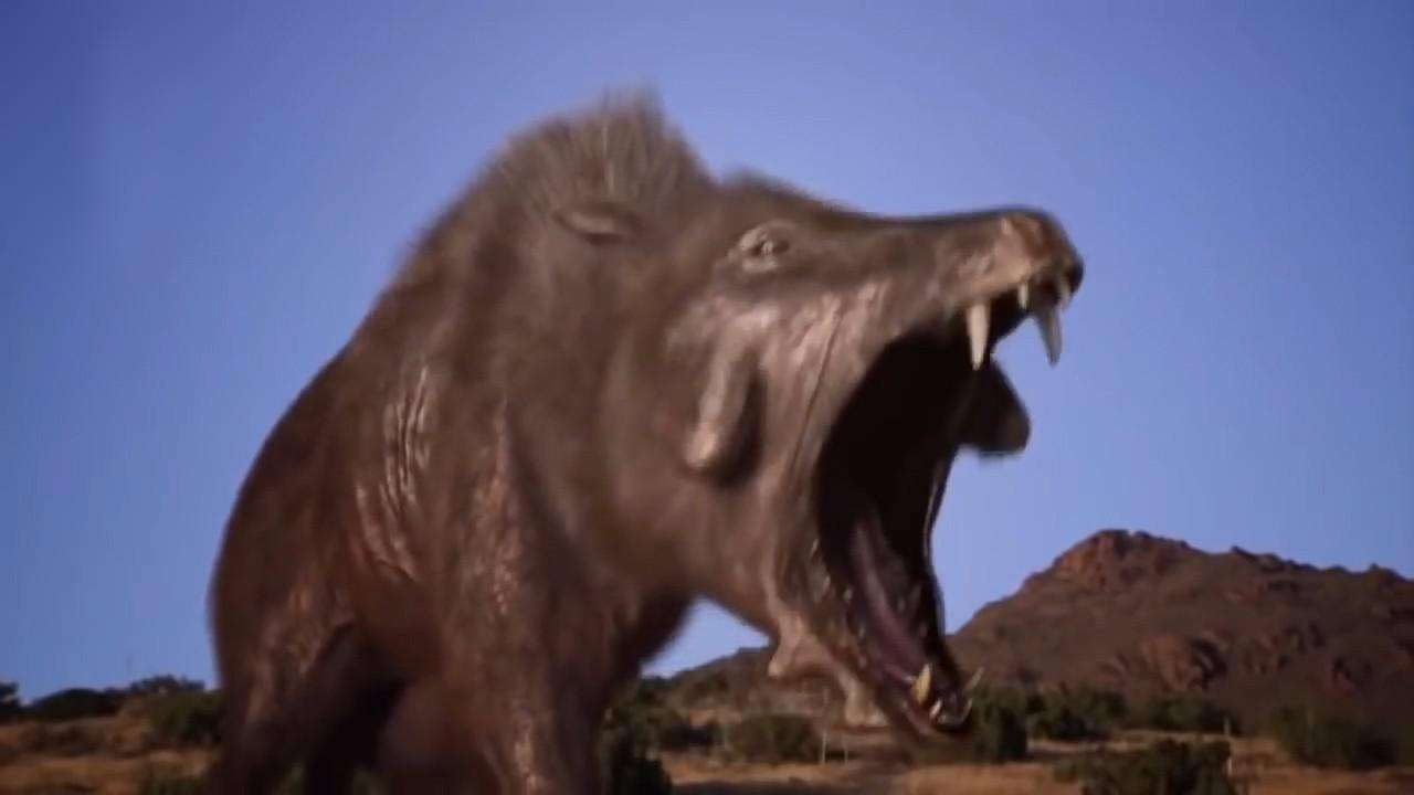 为何猪没有在进化中灭绝？看看它的祖先是谁，