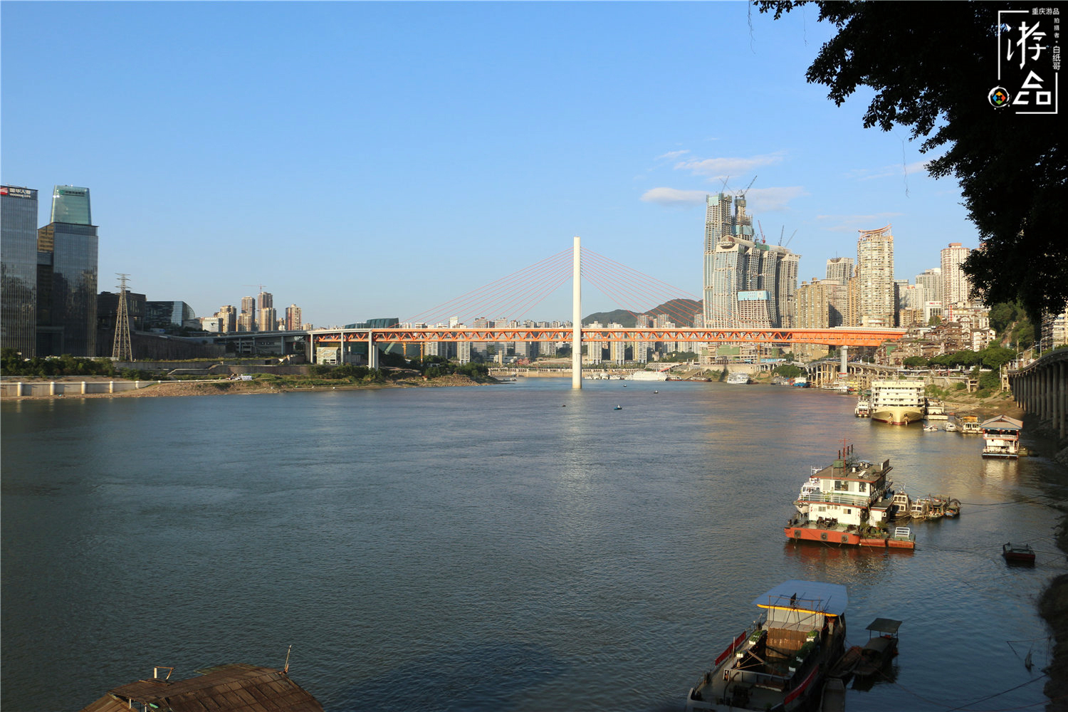 漫游山城：重庆的两对双胞胎大桥，人气差异大，还要分“公母”