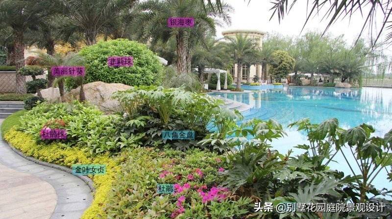 別墅庭院常用植物分享，附照片及名字標(biāo)注（珍藏版）