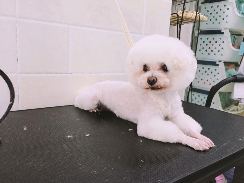 三个适合小额投资的项目，你了解吗？打工者：第一个太挑人