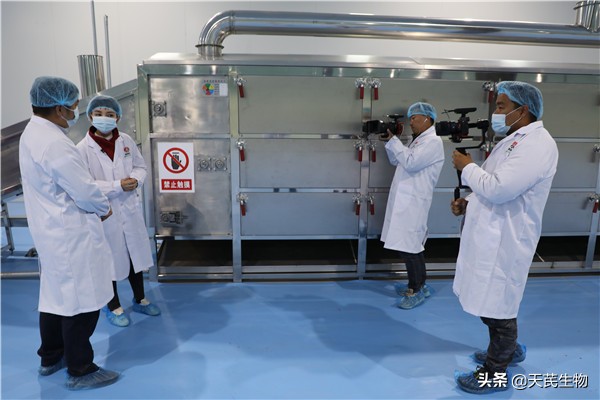 天芪生物用子洲黄芪为中医药产业的发展推波助澜