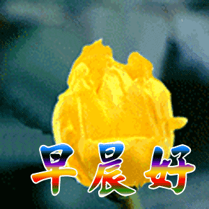 周五幽默问候语及关心话 周五心情的幽默句子图片