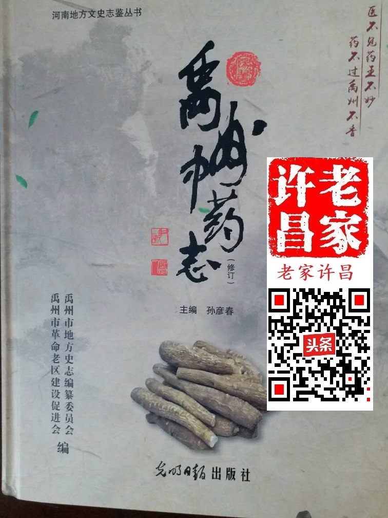 中医药文化的发源地：嵩山一大片，不如逍遥一个观