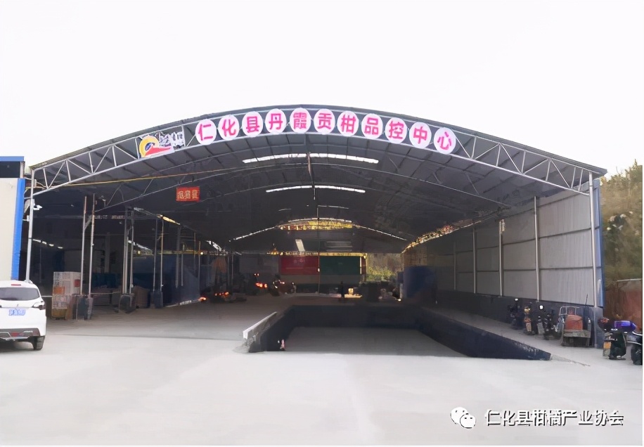 不看不知道！原来丹霞贡柑有这么多秘密！你吃对了吗？