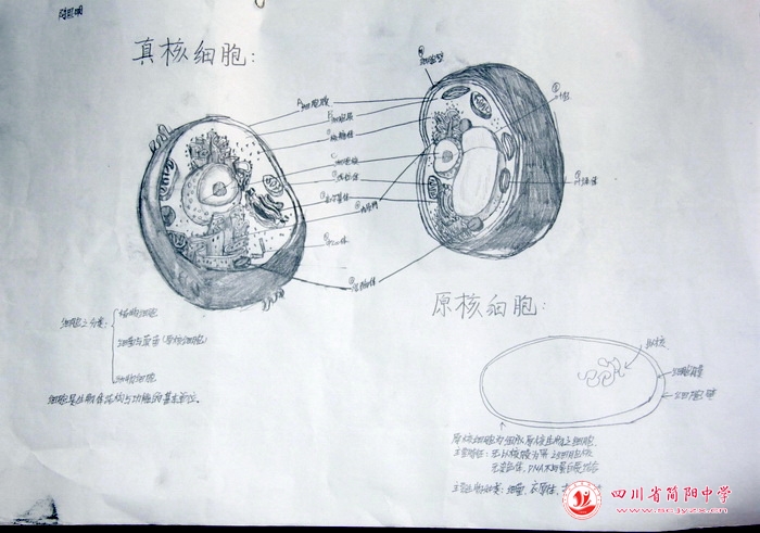 四川省简阳中学怎么样?首届生物学科节(图26)