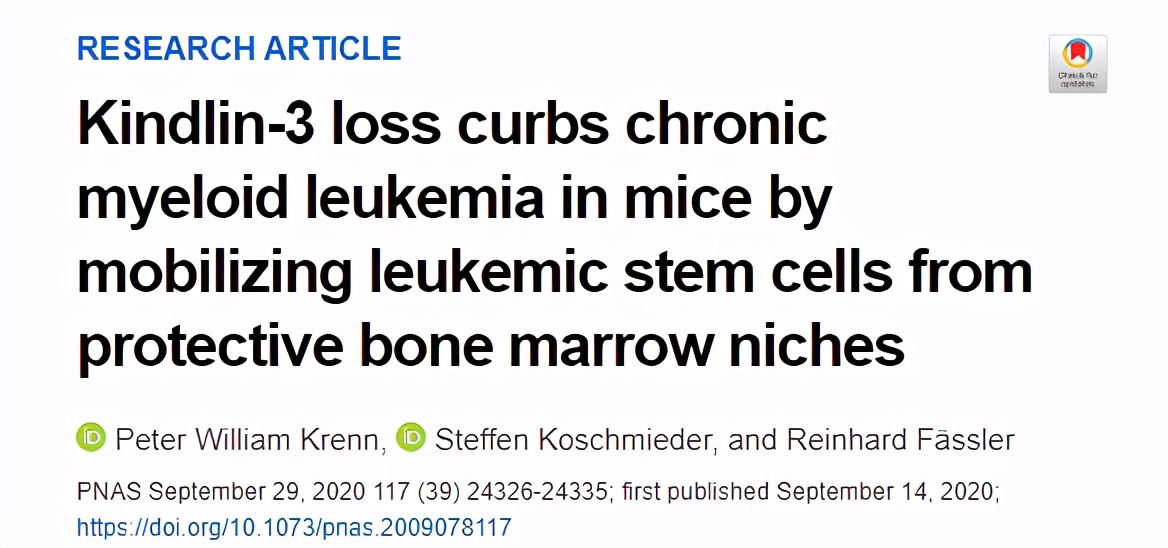 慢性粒细胞白血病新疗法——通过抑制Kindlin-3的产生