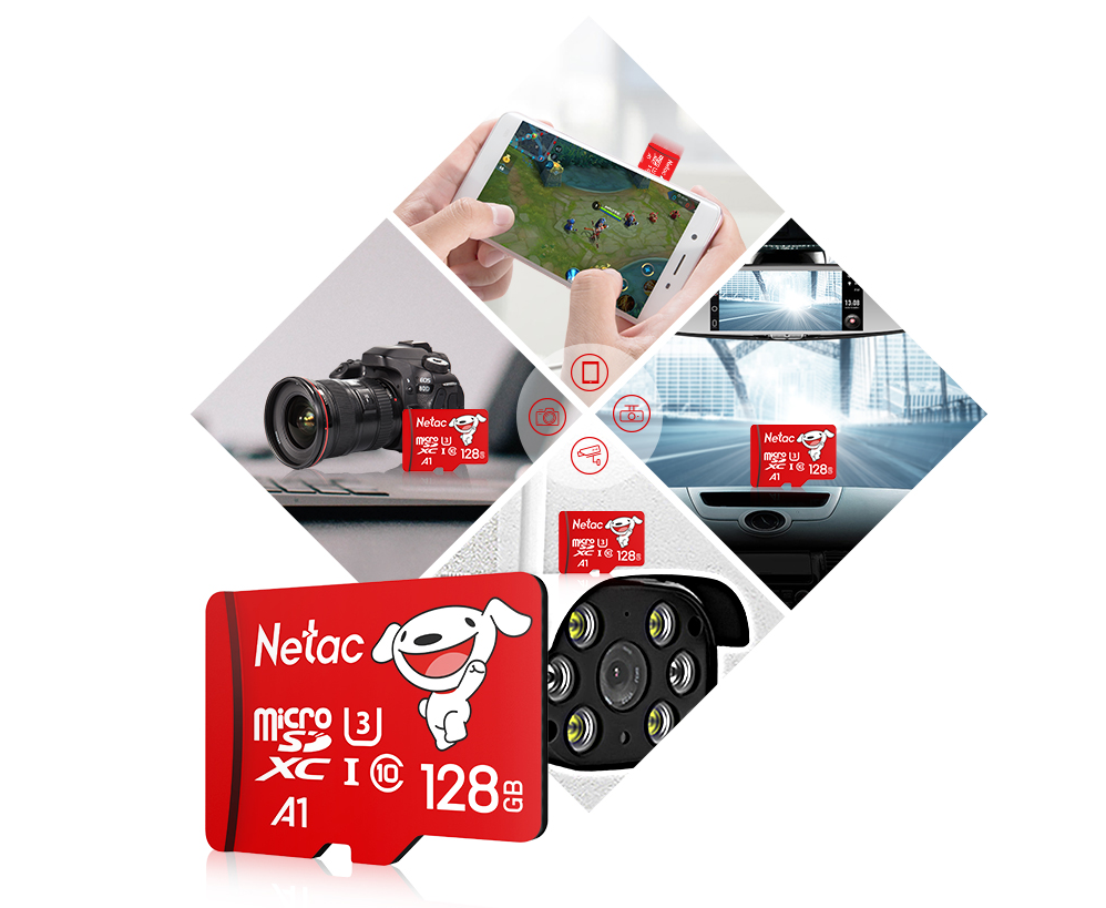 远程监控看猫主子 这些朗科存储卡双十一必购