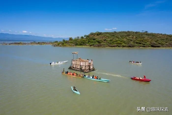 因水位每天上漲15厘米，九隻長頸鹿被困孤立島嶼，麵積僅8英畝