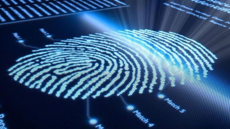 指紋有什麽作用？天生沒有或故意抹去指紋，真的能逍遙法外嗎？
