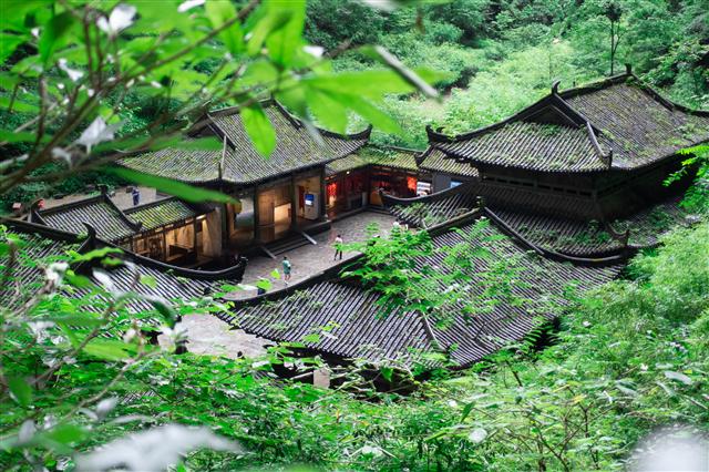 实用重庆旅游攻略，4-5天，土著带路，轻松又省心