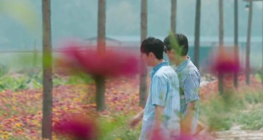 彭昱畅和何炅给西瓜苗浇水，谁注意他脚下的西