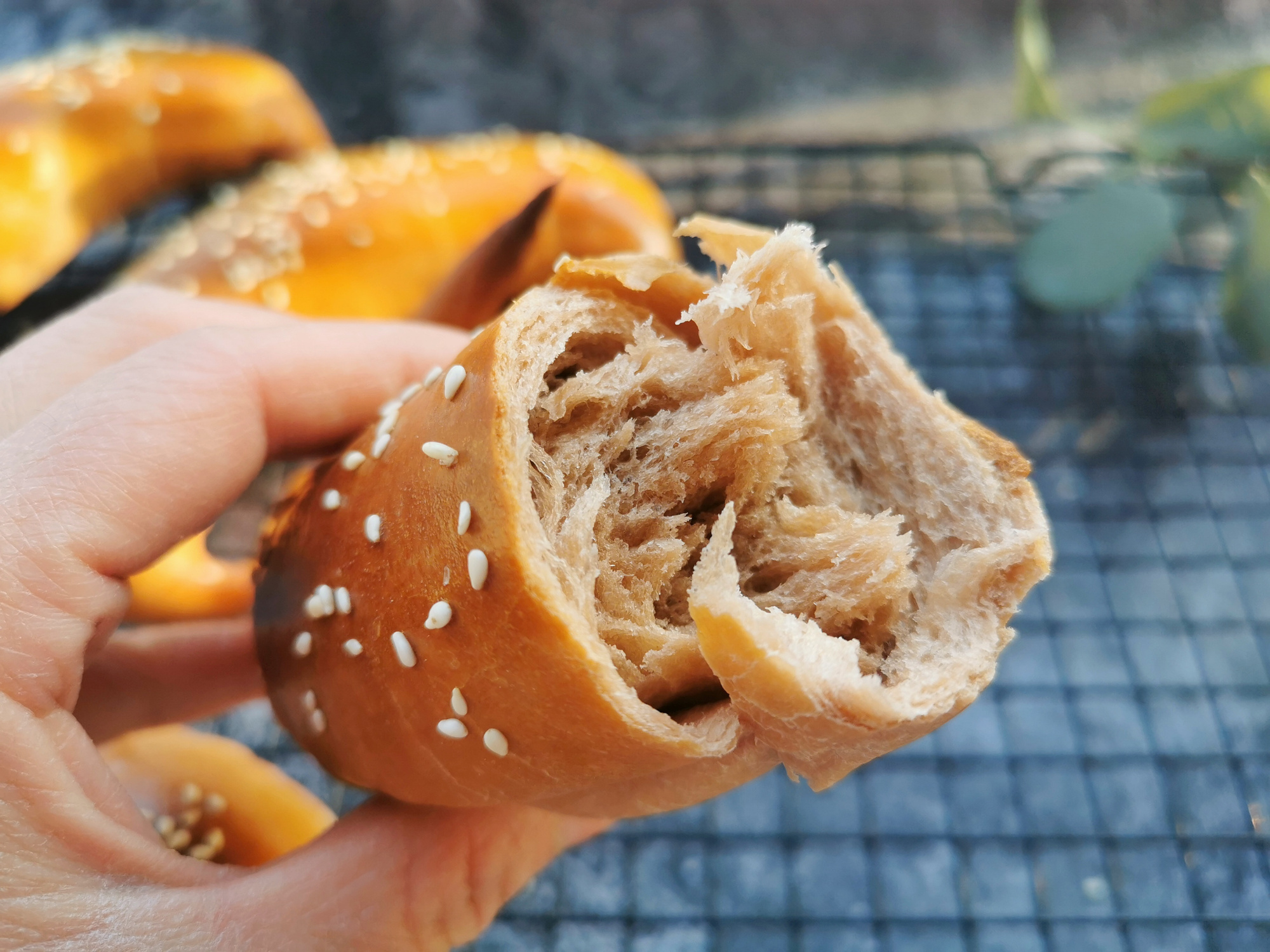 用了幾十次的牛角麵包配方，柔軟拉絲，放3天不會硬，比買的好吃