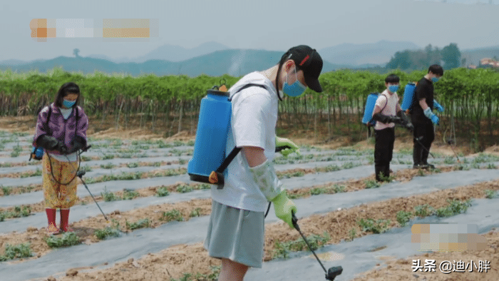 黄晓明《向往的生活》重要戏份被删，原来大家
