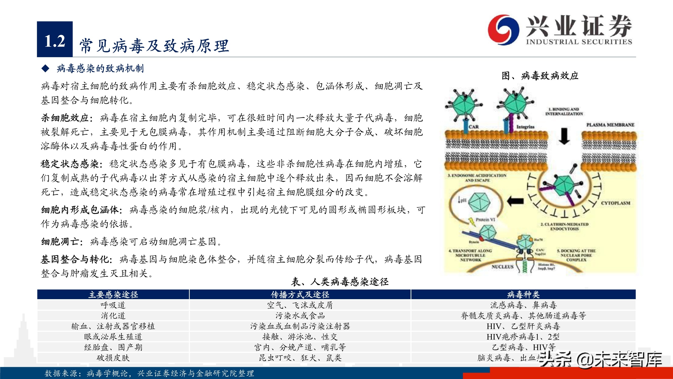 抗病毒药物150页深度报告：新冠映射下的价值洼地