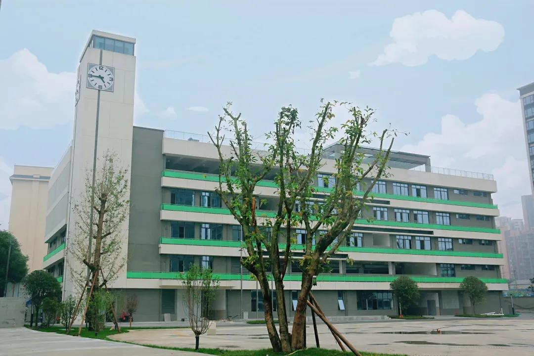 金牛友谊小学怎么样?改扩建完成了(图5)