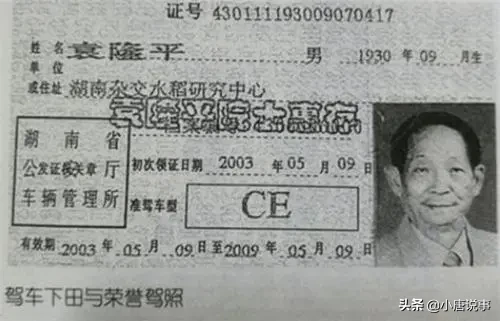 袁隆平的荣誉驾照长啥样？样子和普通驾照差不多，唯独多了9个字