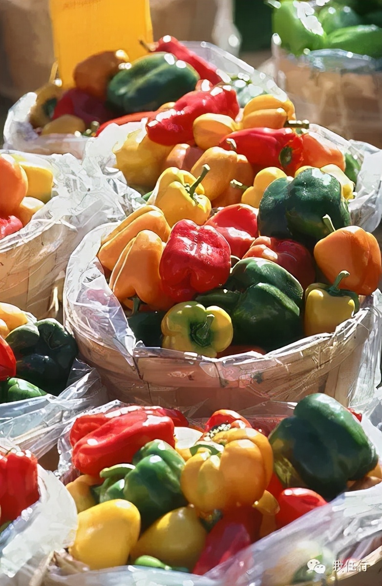 「重拾恬静」北美19世纪田园德国小镇St. Jacobs