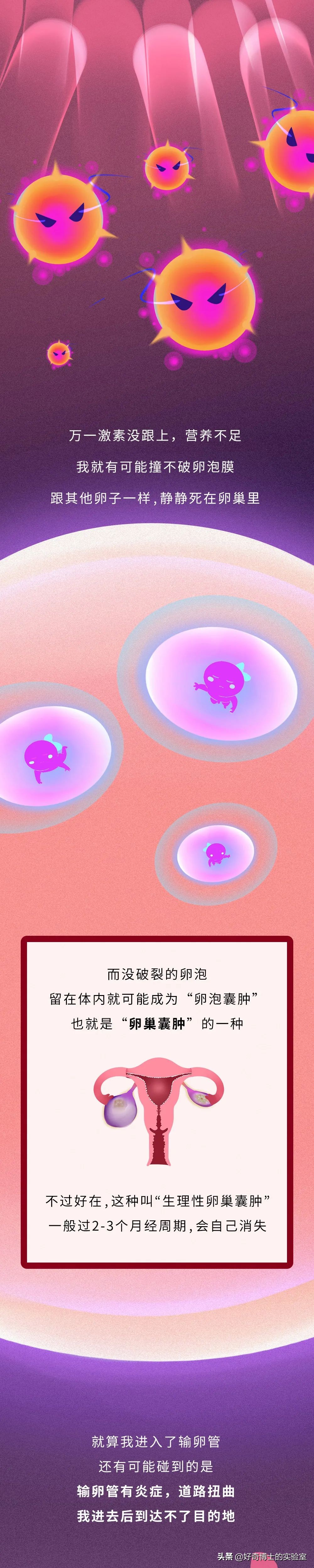 你對女生的卵子根本一無所知