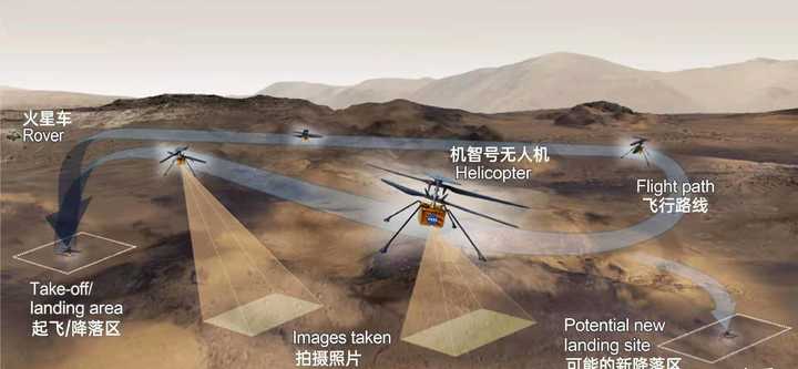 �ҹ�����ֱ�������࣬˫��������ҶƬ���΢�͹�����Ҳһͬ�Ƴ�