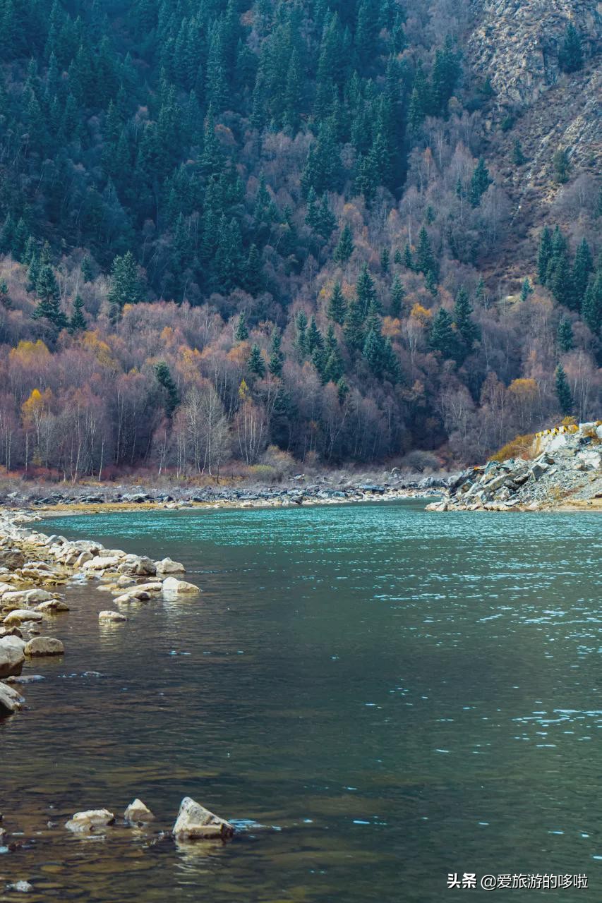 青海值得旅游的地方 青海湖最佳旅游月份(圖42)