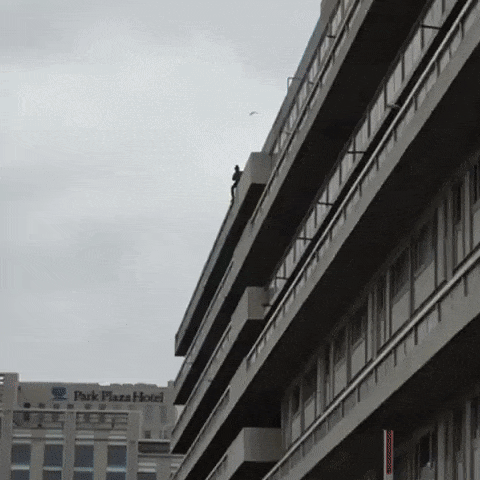 「爆笑GIF」快被这个笑死了，今日份的快乐源泉