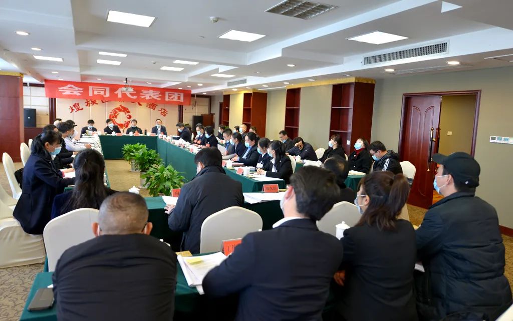 【图片新闻】市五届人大五次会议各代表团举行分组讨论