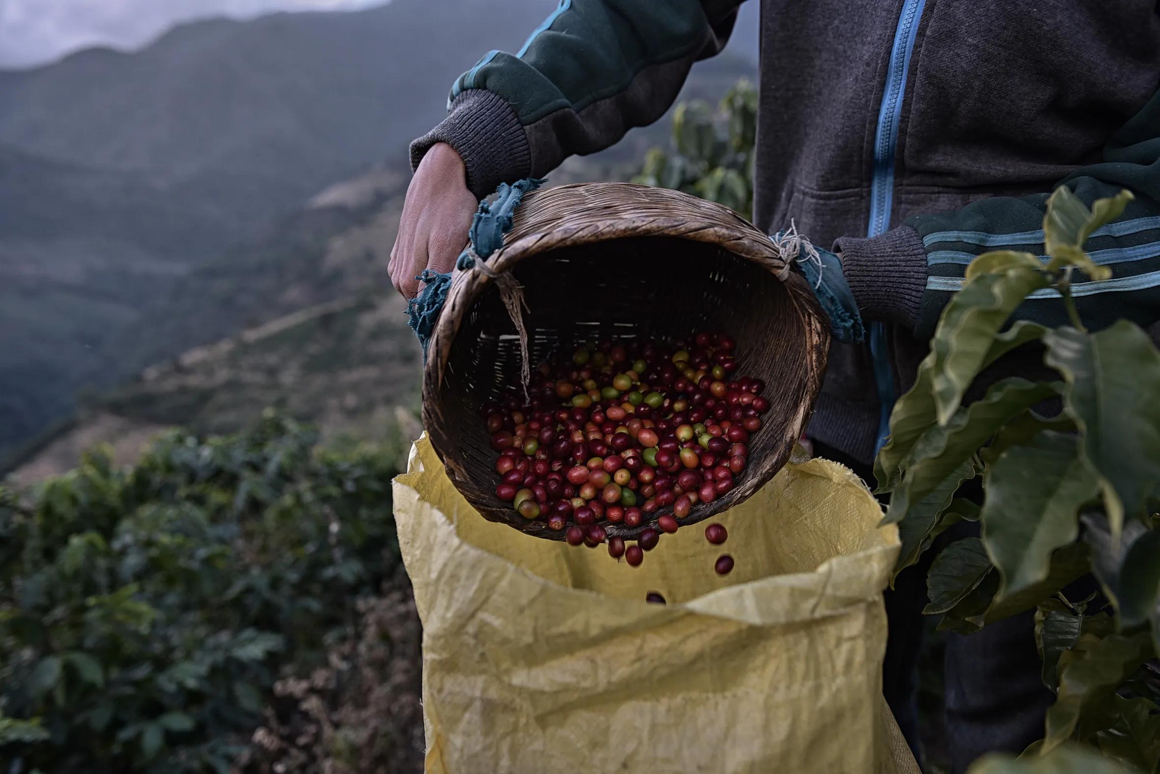 雲南保山潞江壩和百花嶺 和誰去玩 去哪裏玩 Zh中文網