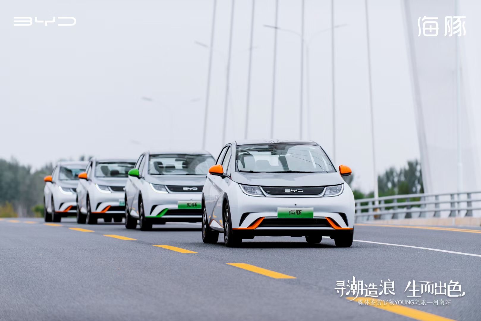 大河报汽车网