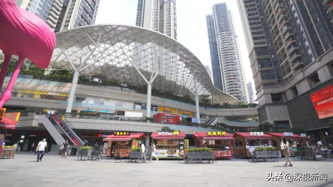 深圳假日经济有何亮点？我们发现了这些……
