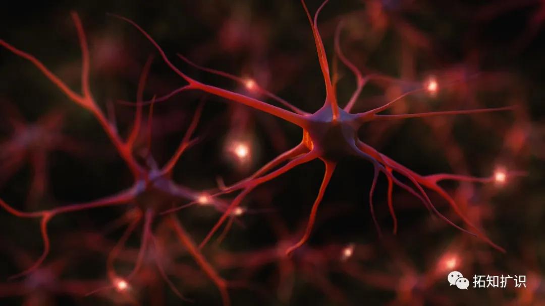 還在習以為常地熬夜？ 卻不知你的身體已經悄然垮掉