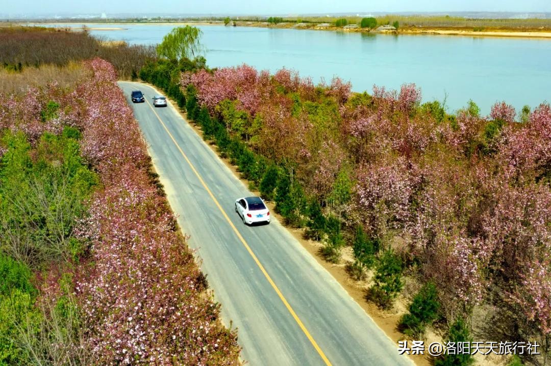 洛阳自驾游路线推荐——10条“美乡村旅游路”