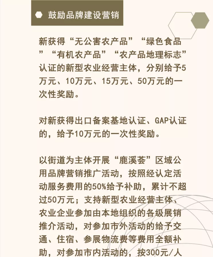 乡村振兴高质量发展十条政策