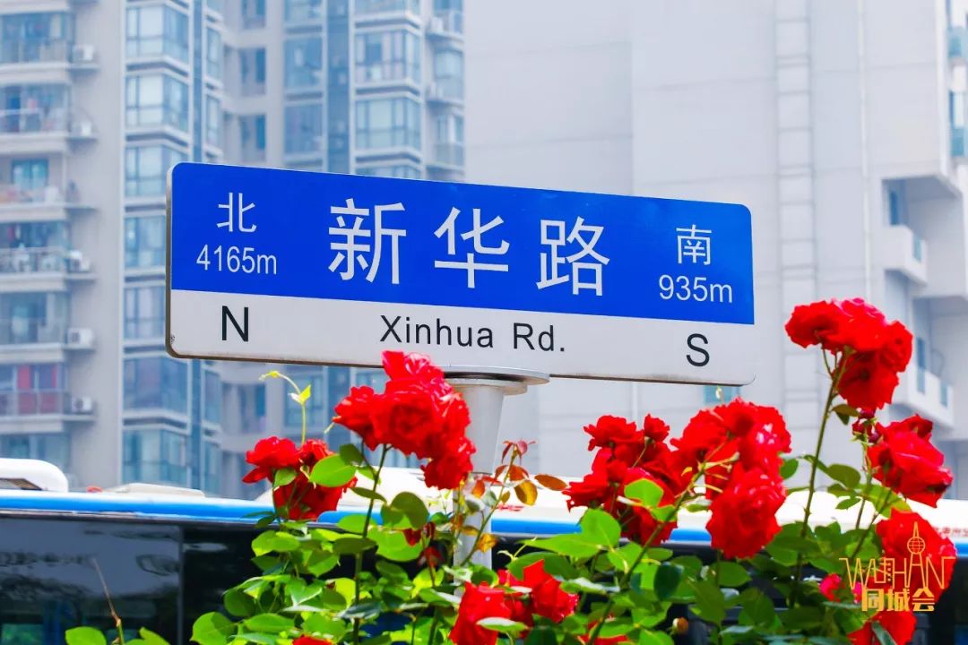 西北湖，武汉最早的富人区