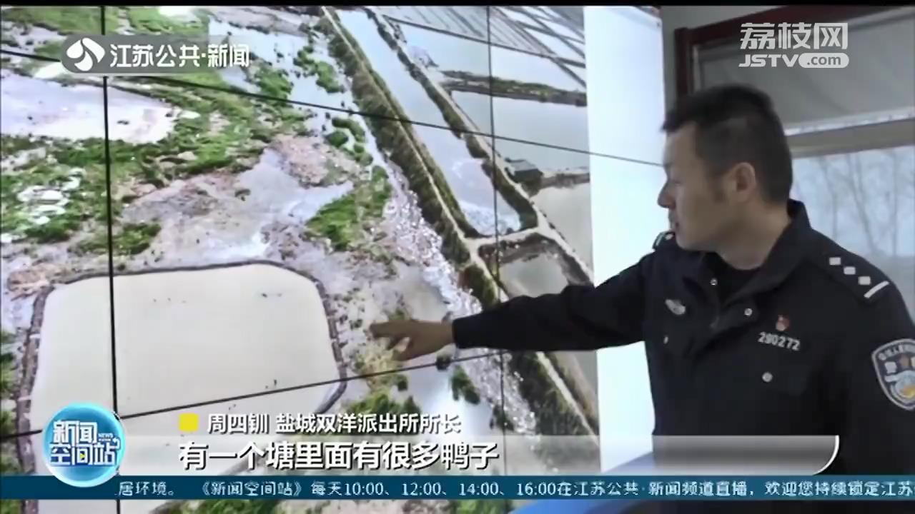 民警航拍发现鸭子水塘 牵出非法猎捕野生珍禽，收购野鸭30一只