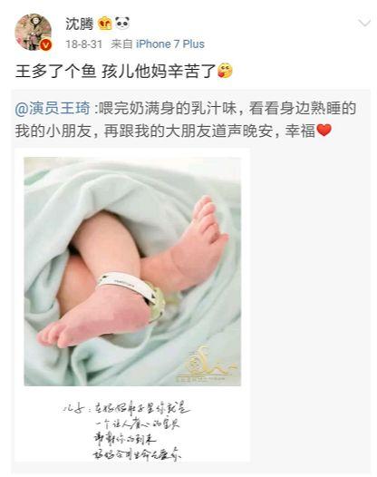 王琦：嫁给沈腾，是全家人的心愿，沈腾：不娶王琦，我就是罪人