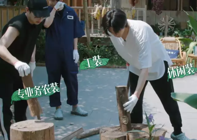 黄磊对张子枫说,宋威龙比彭昱畅帅,妹妹的回应,幸亏哥哥没听到